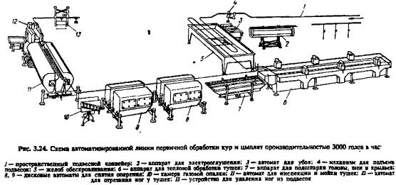 Технологическая схема птицы переработки птицы