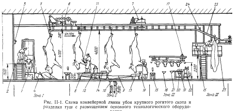 Технологическая схема первичной переработки свиней