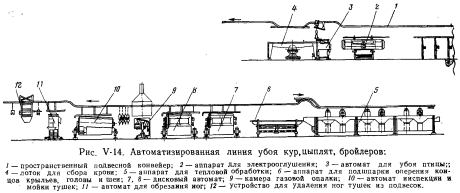 Технологическая схема птицы переработки птицы