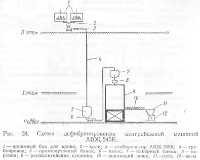   ( 11)