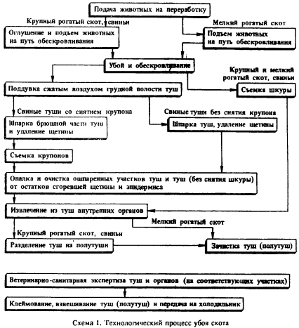 Технологическая схема свиней в шкуре