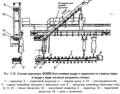 Обескровливание крс схема